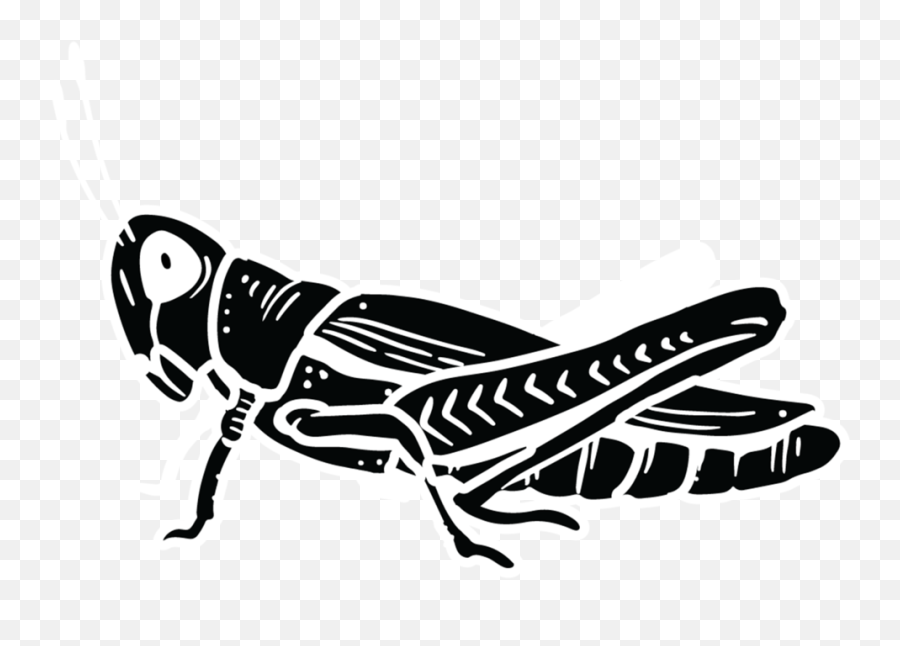 Grasshopper Phenology U2014 Trench Project - Language Png,J Crew Short Icon Trench