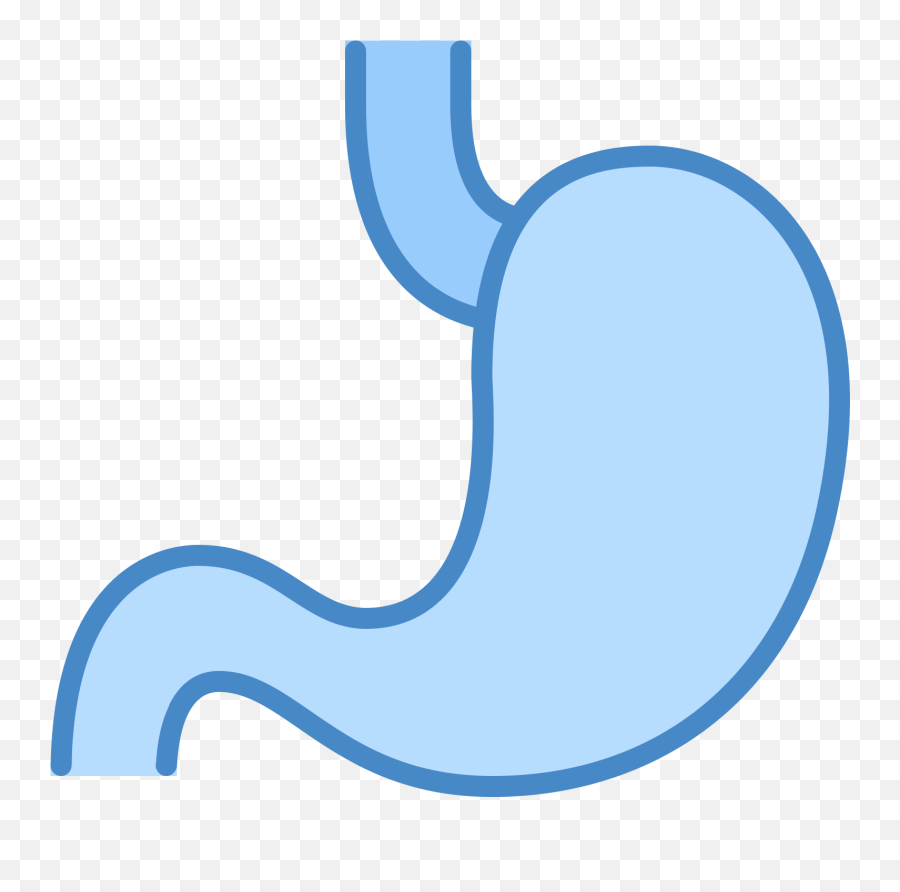 Stomach Icon Free Download - Language Png,Gut Icon