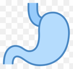 Stomach Icon Free Download - Language Png,Gut Icon
