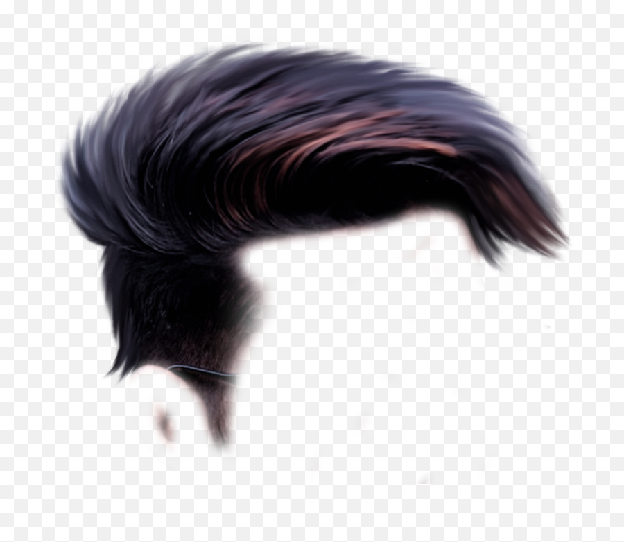 Pin - Boy Hair Style Png,Short Hair Png - free transparent png images -  