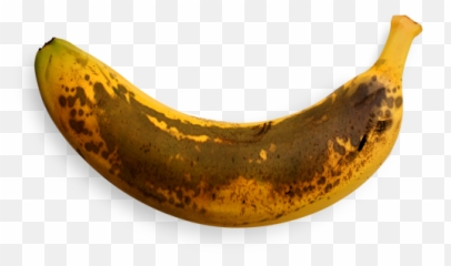 Bananas Ripe Transparent U0026 Png Clipart Free Download - YWD Brown No Background