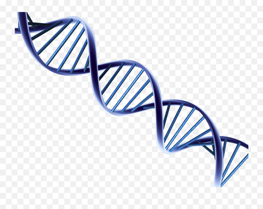 Dna Png Images Free Download - Transparent Dna Png,Dna Png