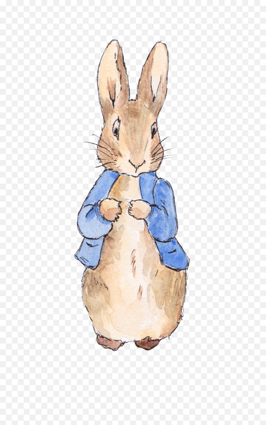 Download Hd Peter Rabbit Watercolour Transparent Png Image - Even The Smallest One Can Change The World,Rabbit Transparent