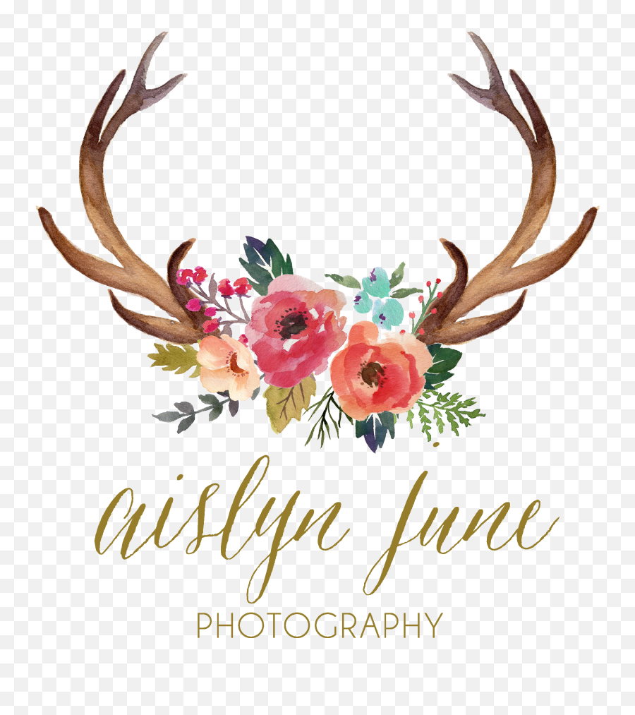 Download Antler Watercolor Painting Clip - Deer Antlers And Antlers With Flowers Svg Png,Deer Antlers Png