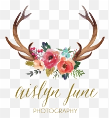 Download Antler Watercolor Painting Clip - Deer Antlers And With Flowers Svg png
