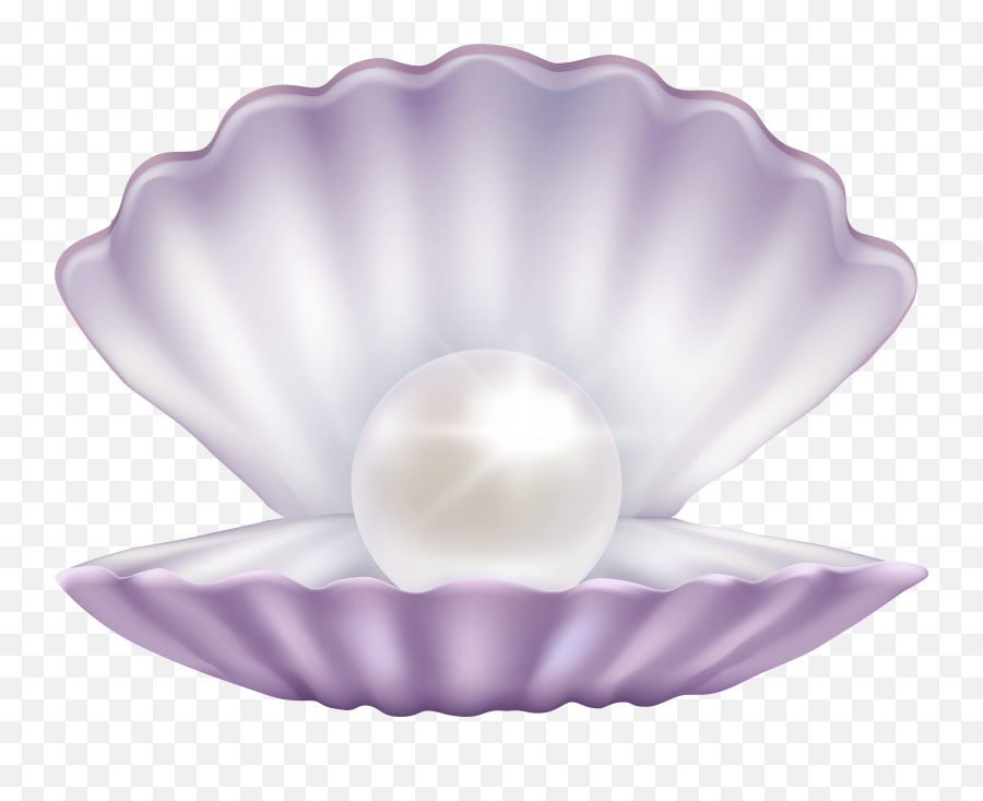 Clam With Pearl Png Pearls Transparent Background