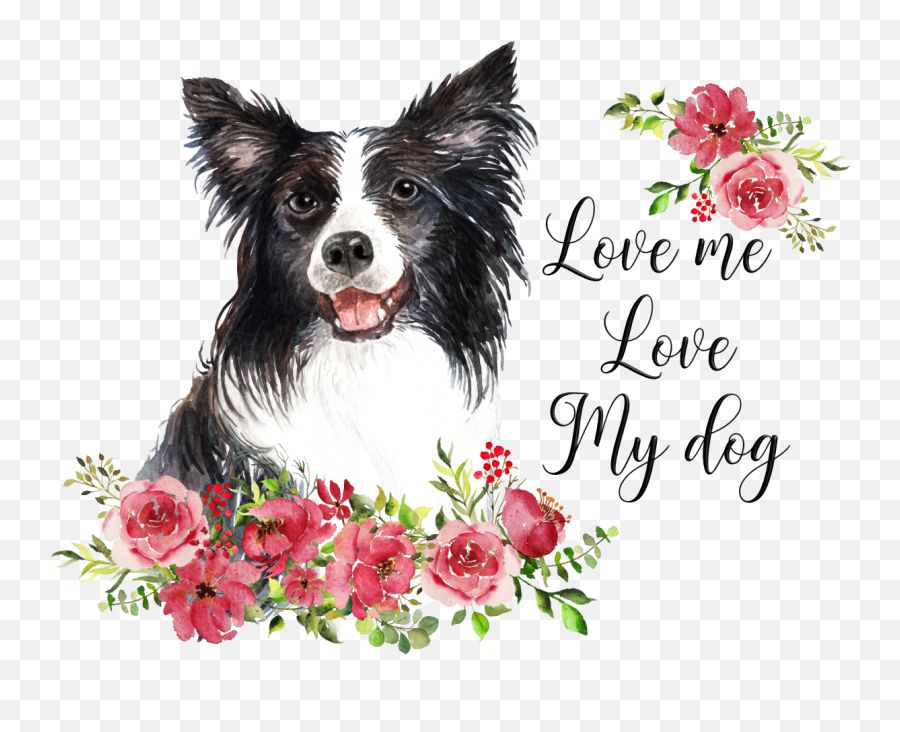 After Every Storm Design T - Hunde Aquarell Png,Border Collie Png