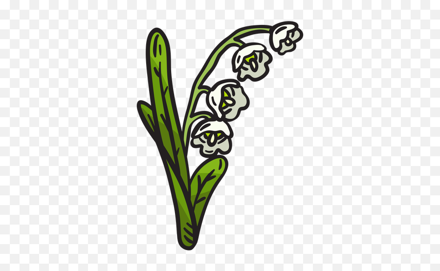 Lily Of The Valley Flower Illustration - Lirio De Los Valles Logo Png,Lily Of The Valley Png