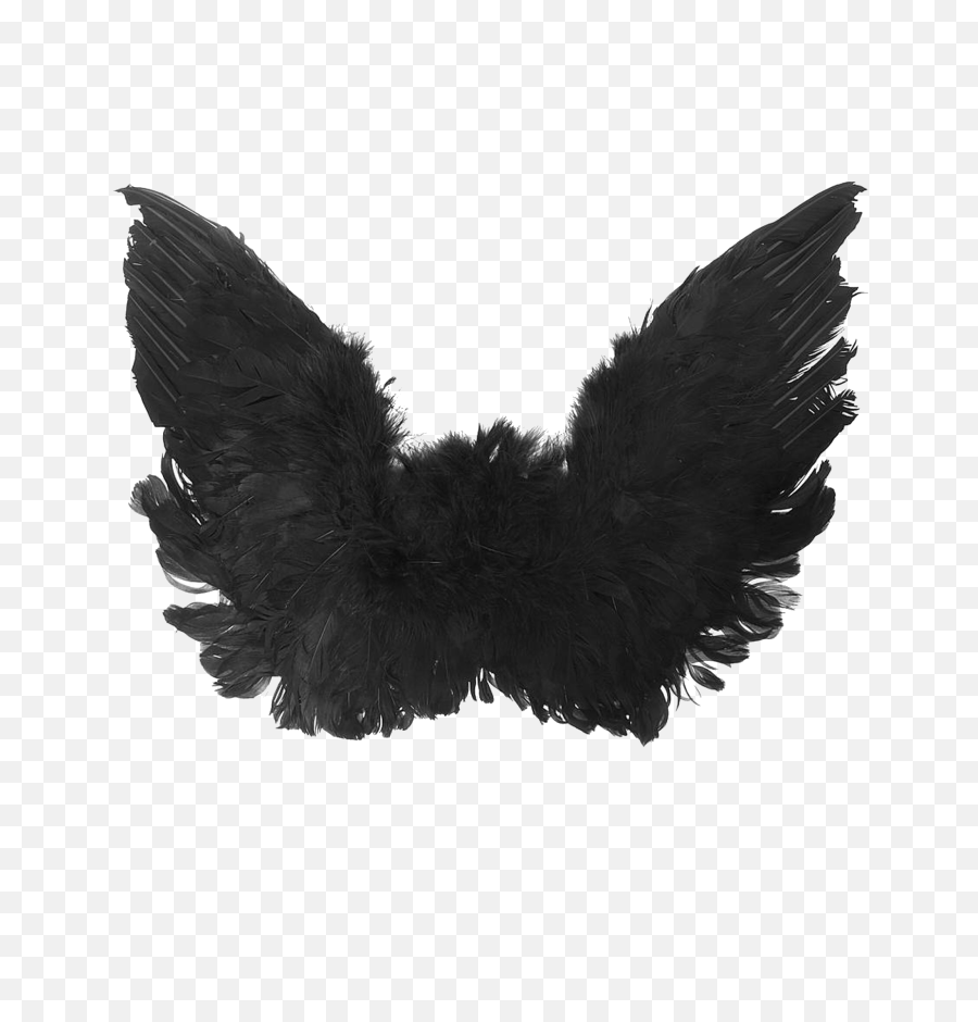 Download Hd Black Angel Wings Png High - Black Angel Wings,Black Angel Wings Png