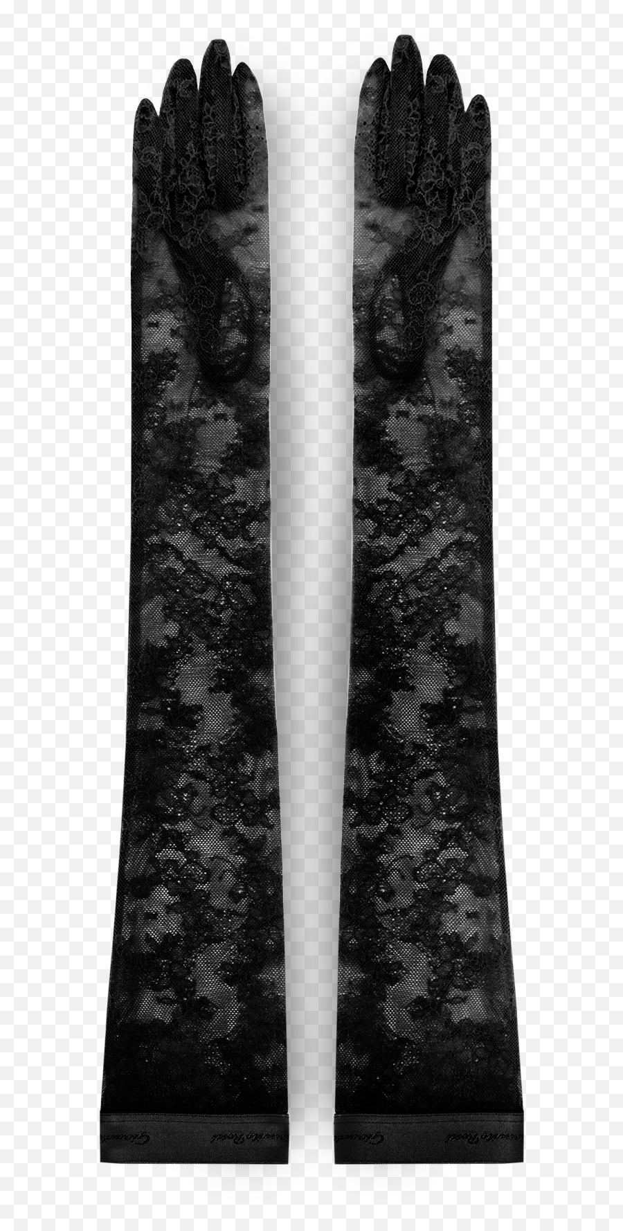 Lace Gloves - Ski Binding Png,Black Lace Png
