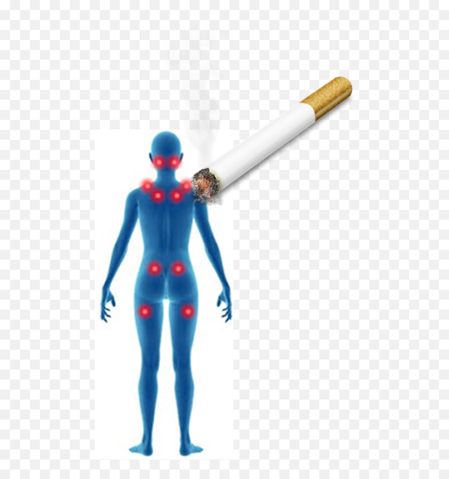 Hd Cigarette Png Transparent Background - Fibromyalgia Trigger Points Diagram,Cigarette Transparent Background