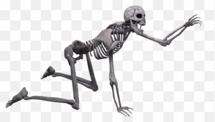 Skeleton Laying Crawling - Free Image On Pixabay Crawling Skeleton Png ...