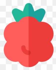 Raspberry Png Icon 7 - Png Repo Free Png Icons London Victoria Station,Raspberry Png
