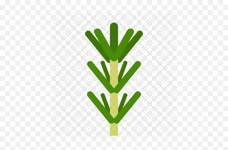 Rosemary Icon - Vertical Png,Rosemary Png