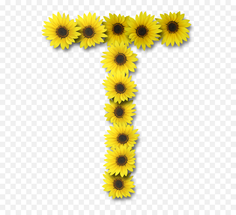 Download 588 X 738 10 - Letter T With Sunflower Full Size Sunflower Letter T Png,Letter T Png
