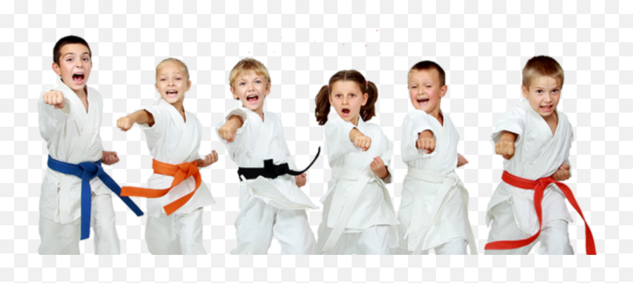 Cropped Taekwondo Dragon Crescent Martial Arts - Taekwondo Kids Png Hd,Karate Png