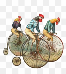 Chicken Riding A Unicycle Transparent Cartoon - Jingfm Chicken In A Bicycle Png,Unicycle Png