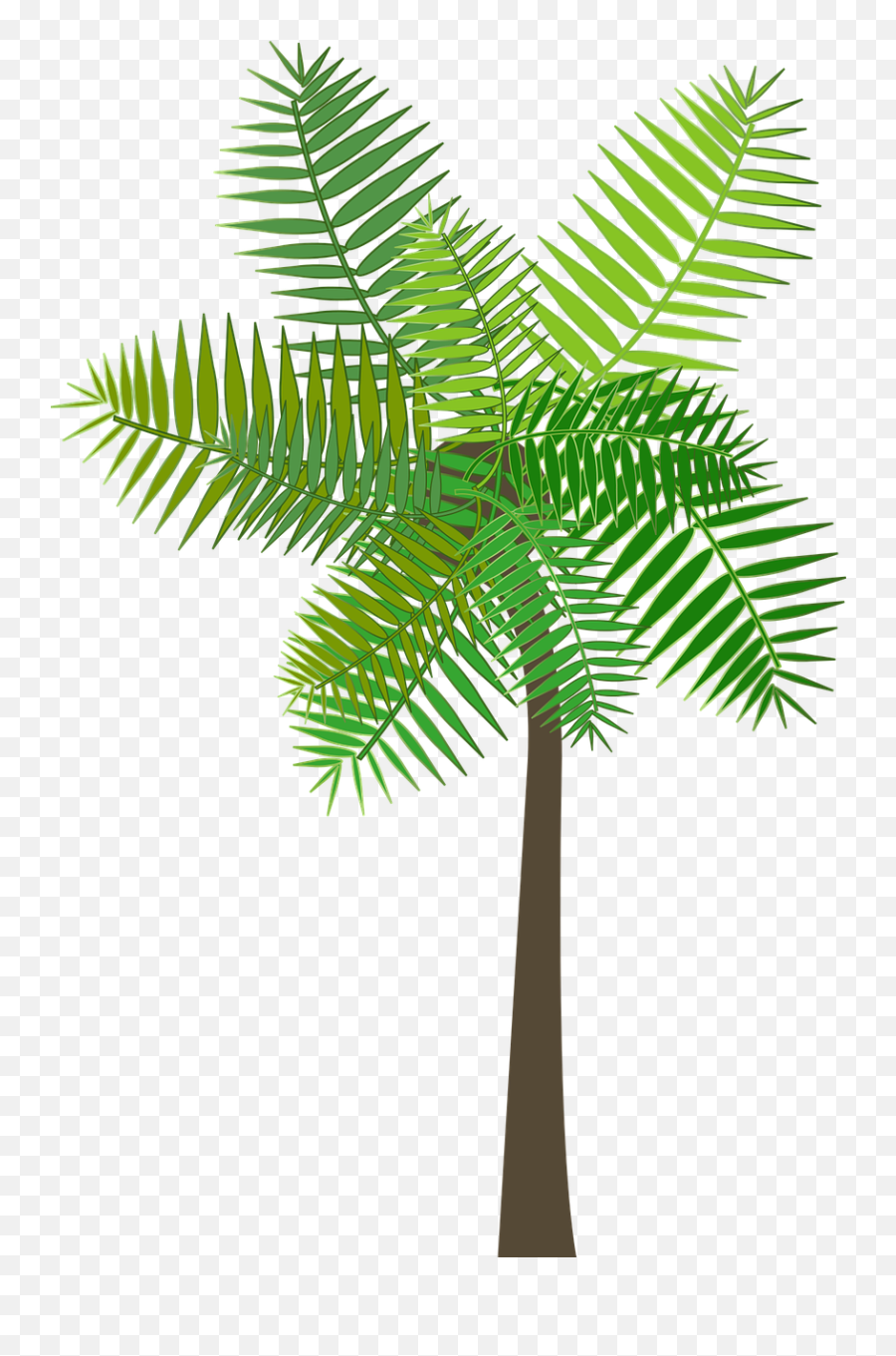 Graphic Palm Tree - Free Vector Graphic On Pixabay Vertical Png,Palm Branch Png