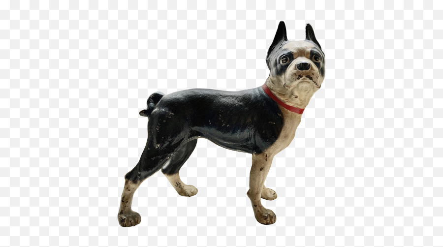 Boston Terrier Doorstop - Vulnerable Native Breeds Png,Boston Terrier Png