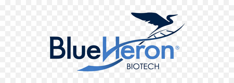 Blue Heron Biotech Llc - Gene Synthesis Custom Dna Blue Heron Png,Transparent Font