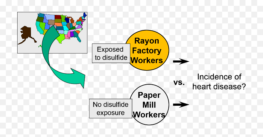 Cohort Studies - Language Png,Selection And Comparing Icon