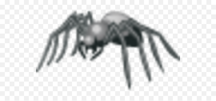 Spider Icon - For Teen Png,Black Spider Icon