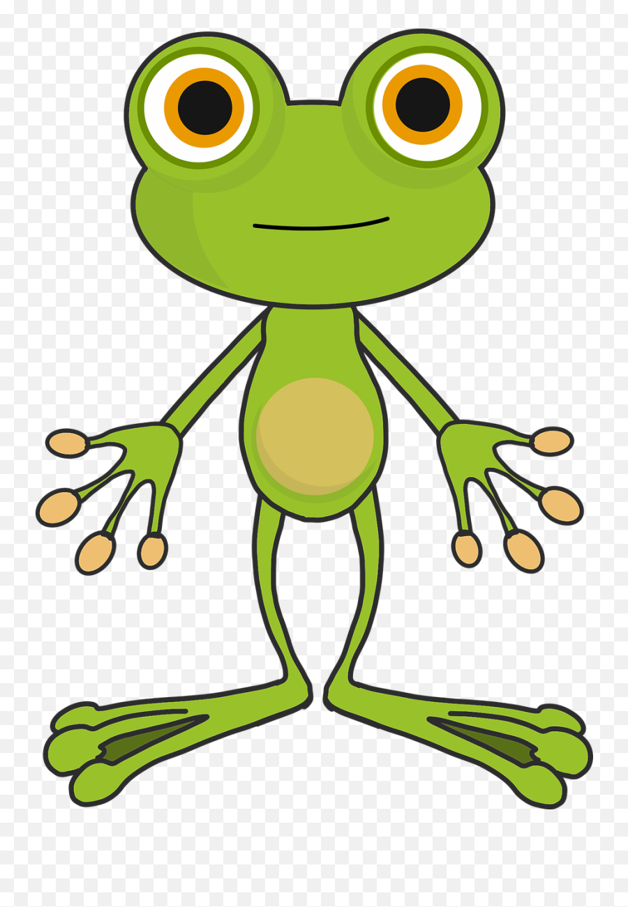 Frog Cartoon Transparent Png Image - Cartoon Transparent Frog Png,Transparent Frog