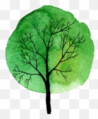 Brb Tutorial Code U2013 Baru Digital - Tree png