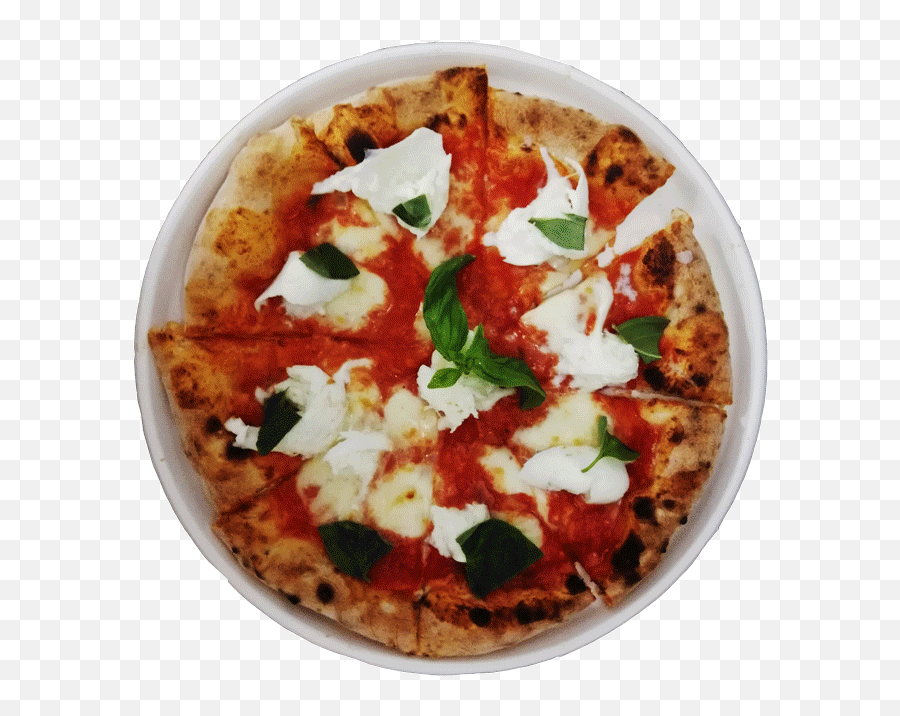 Our Pizza Pizzacchiere - Pizza Napoletana Gif Png,Calzone Icon