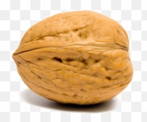Download Walnut Transparent Images - Walnut Hd Png,Walnut Transparent