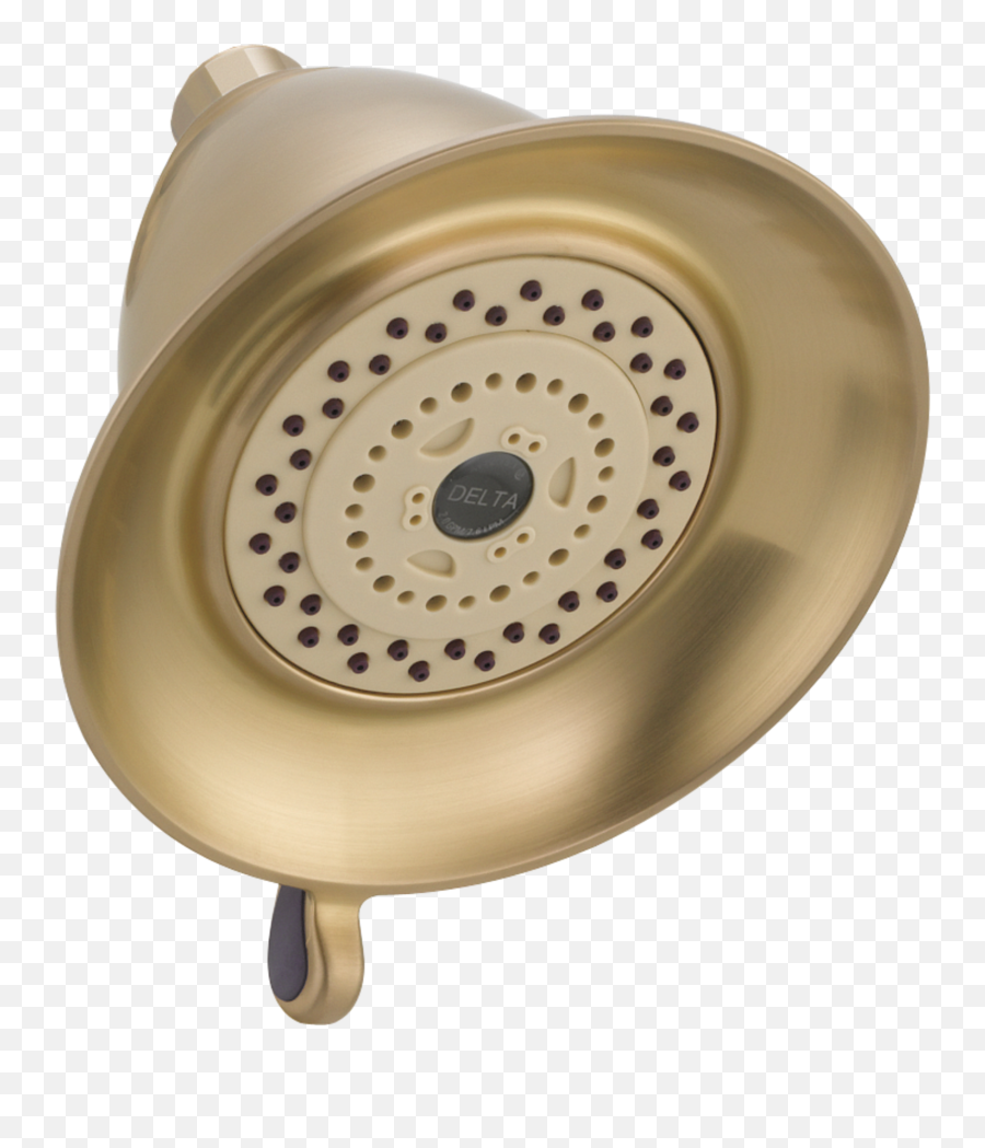 Speakman Icon 25 Gpm Multi - Function Signature Brass Shower Delta Rp34355 Png,Windows 8 Orb Icon