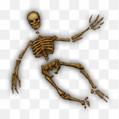 Download Dungeons U0026 Dragons Clipart Skeleton - And Skeletons png