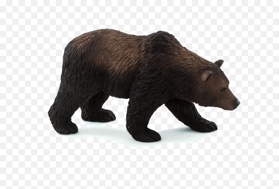 Download Free Png Grizzly Bear - Animal Planet Grizzly Bear,Grizzly Bear Png