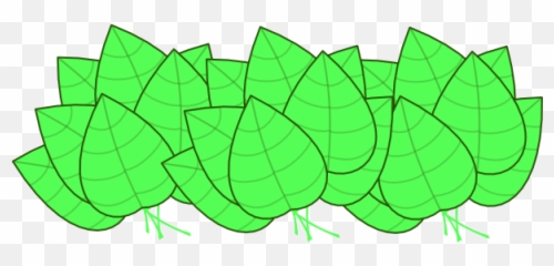 Jungle Leaves Finders Keepers Roblox Wiki Fandom Graphics Png Free Transparent Png Image Pngaaa Com - roblox finders keepers wiki