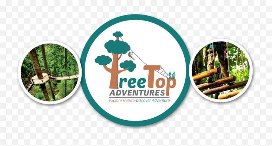Outdoor Adventure Courses Tree Top Adventures Sa - Treetop Treetop Adventures Sa Johannesburg Png,Trees Top View Png