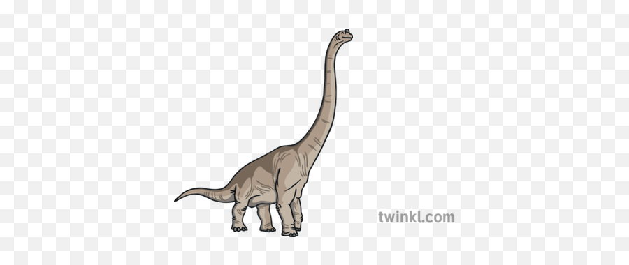 Brachiosaurus Dinosaurs Ebook English Ks1 Illustration - Twinkl Lesothosaurus Png,Brachiosaurus Png