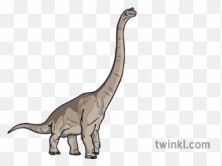 Brachiosaurus Dinosaurs Ebook English Ks1 Illustration - Twinkl Lesothosaurus Png,Brachiosaurus Png
