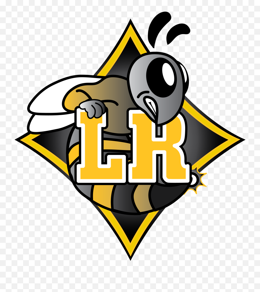 Lower Richland Girls Junior Varsity Sideline Cheer - Team Lower Richland Diamond Hornets Png,Hornets Logo Png