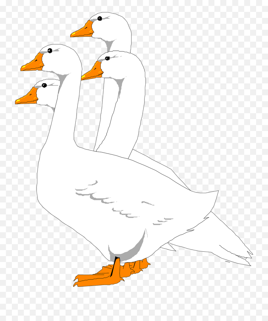 Geese Birds Group - Free Vector Graphic On Pixabay Gifs Animados Ocas Png,Geese Png