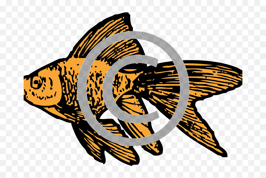 Black And White Clipart Goldfish - Goldfish Clip Art Png,Goldfish Png