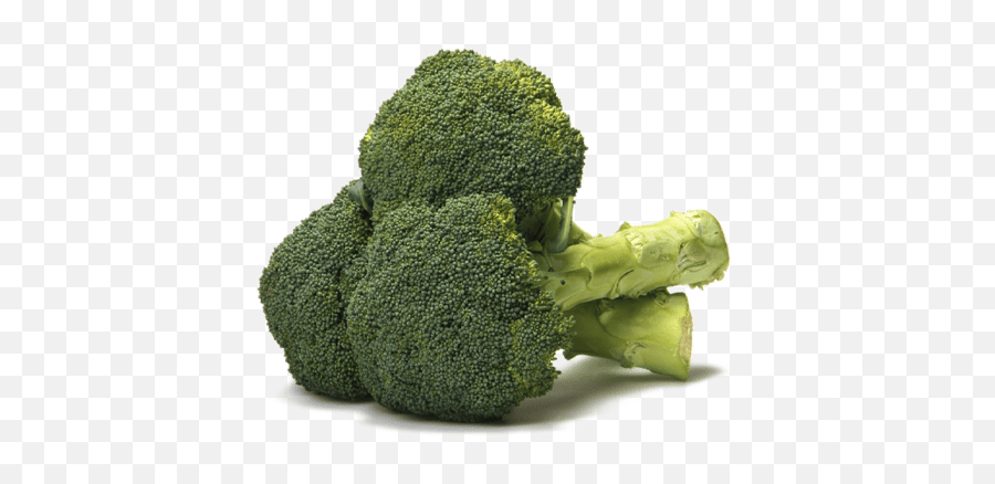 Organic Broccoli 1 Lb U2013 Checklistmv - Broccoli Png,Broccoli Png