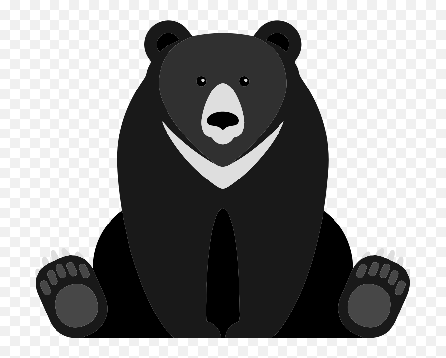 Black Bear Sighted Near Owl Stadium - Cartoon Images Black Bear Png,Black  Bear Png - free transparent png images 