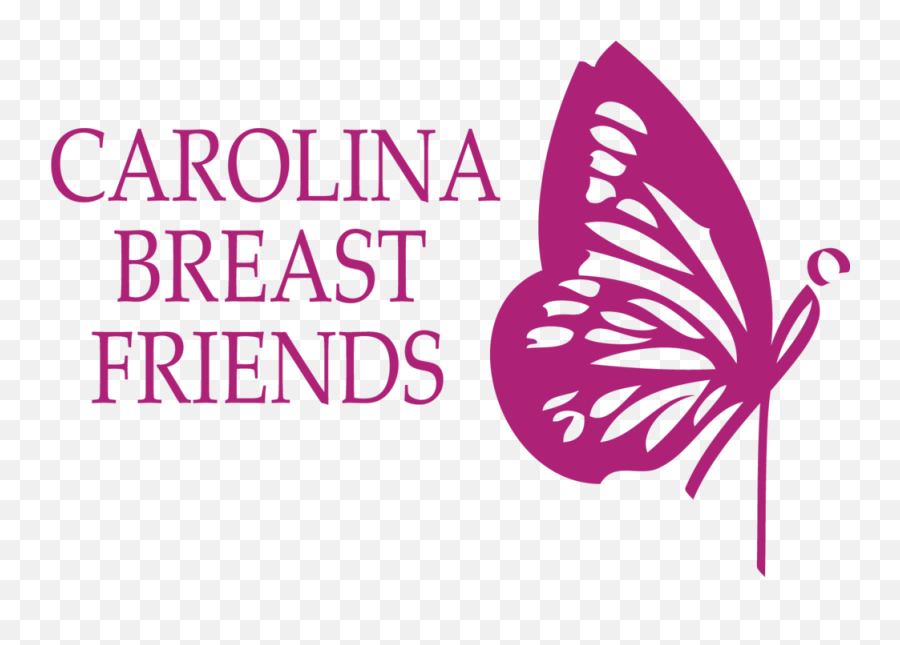 Bch Usa Network U2014 Breast Cancer Hub Png Logo