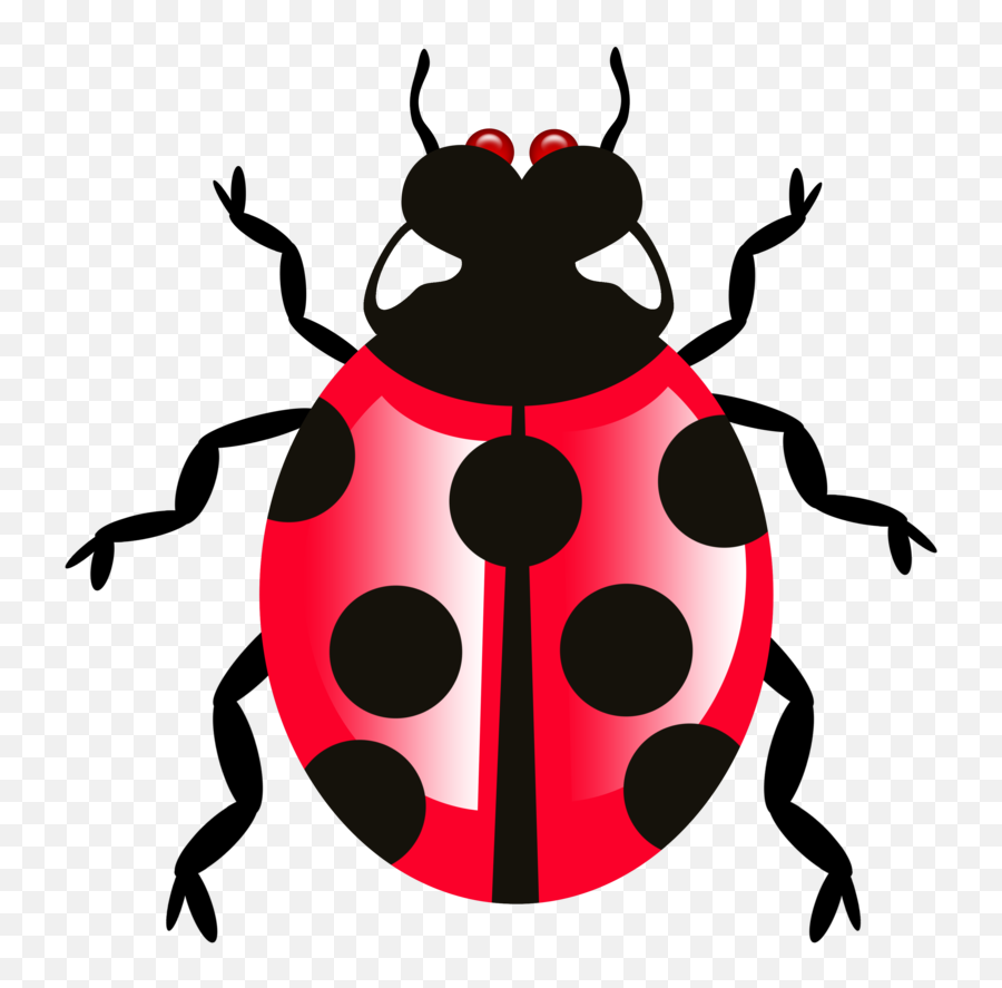 Bug Icon Transparent Png - Defects Png,Bugs Png