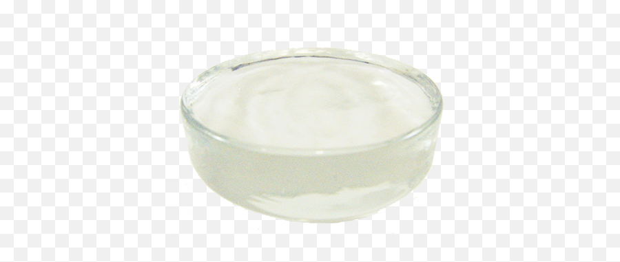Pickle Puck Glass Weight For Fermenting Foods Transparent PNG