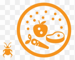 Pesticide Database Codexalimentarius Fao - WHO Límites Máximos De Residuos Lmr png