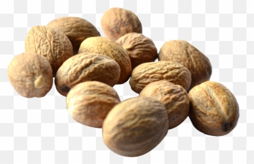 Png Transparent Walnut - Walnut,Walnut Transparent