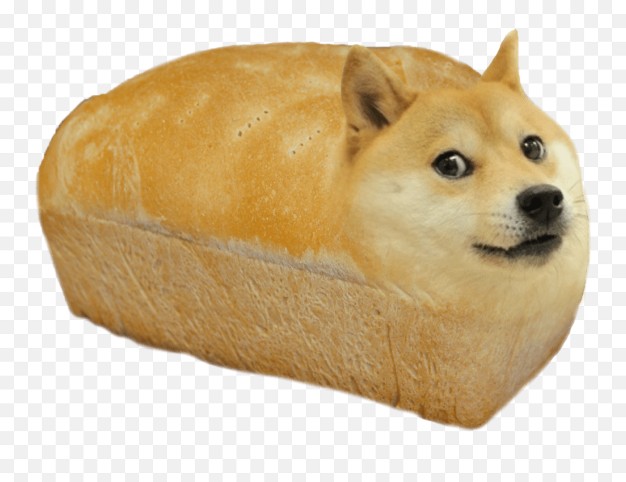 Shibe Dog Transparent U0026 Png Clipart Free Download - Ywd Loaf Of Bread Dog,Dog Transparent