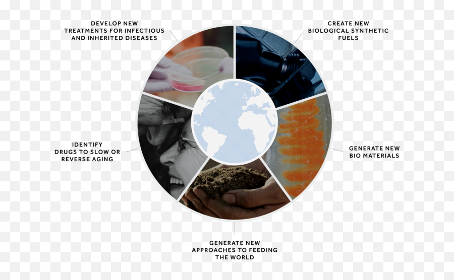 Goals U2014 Earth Biogenome Project - Circle Png,Earth Transparent