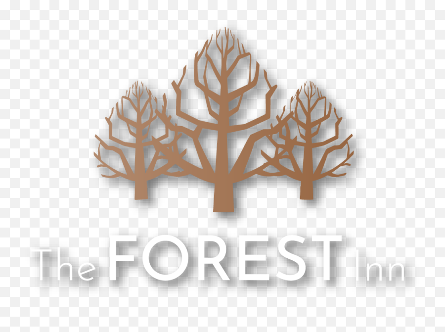 Coming Soon - The Forest Inn Winchester Illustration Png,Forest Transparent Background